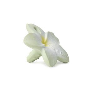 Bali the Flower